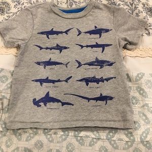 Boys Gap T-Shirt
